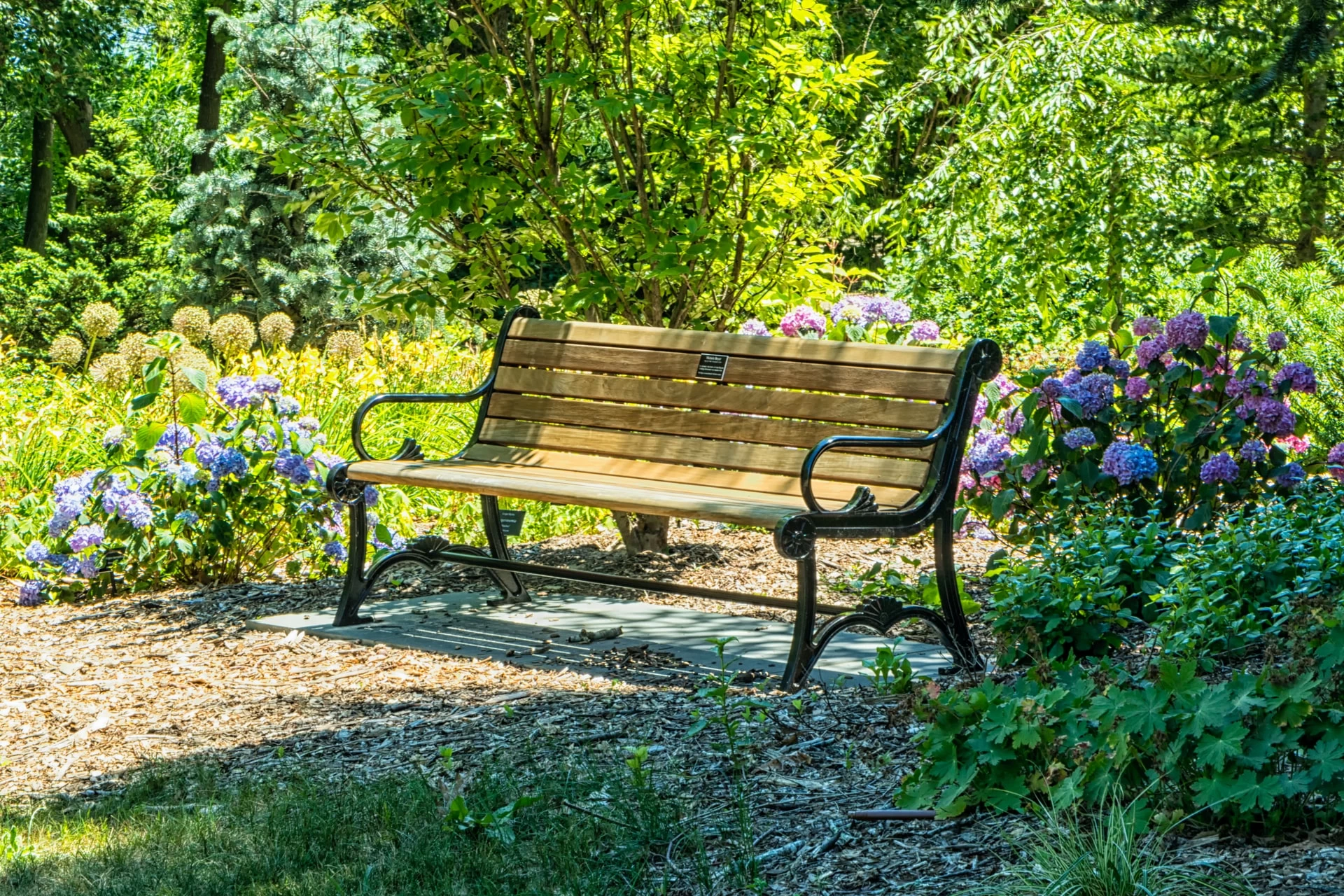 image of bench from the park in Cypress