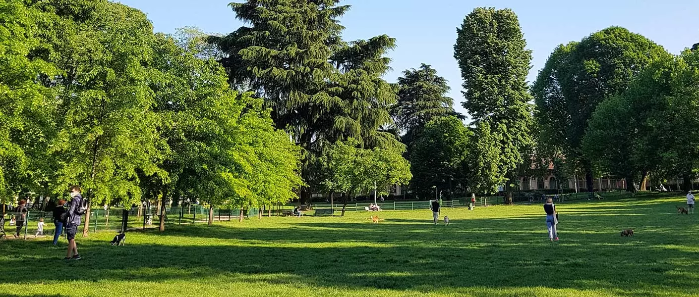 A tree-lined open field in a public park in Needham, Massachusetts