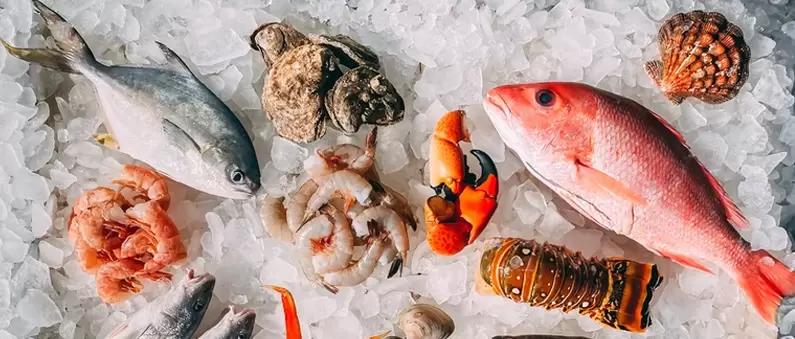Flounder, bass, striper, shrimp, clams and an lobster tail on ice
