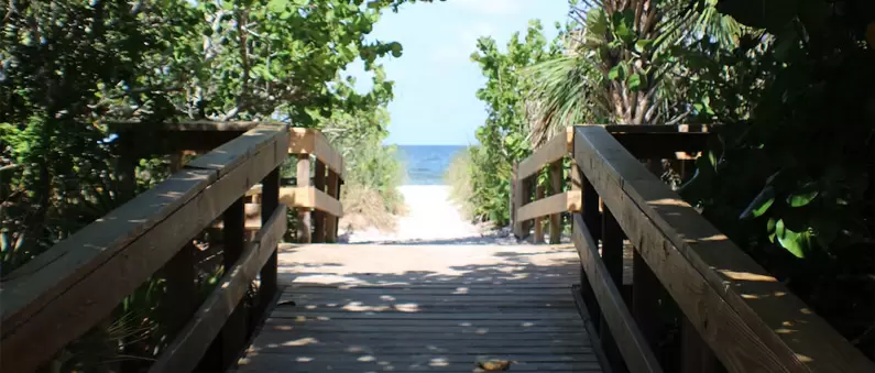 A wooden boardwalk leads through trees to the ocean off Jacksonville Florida