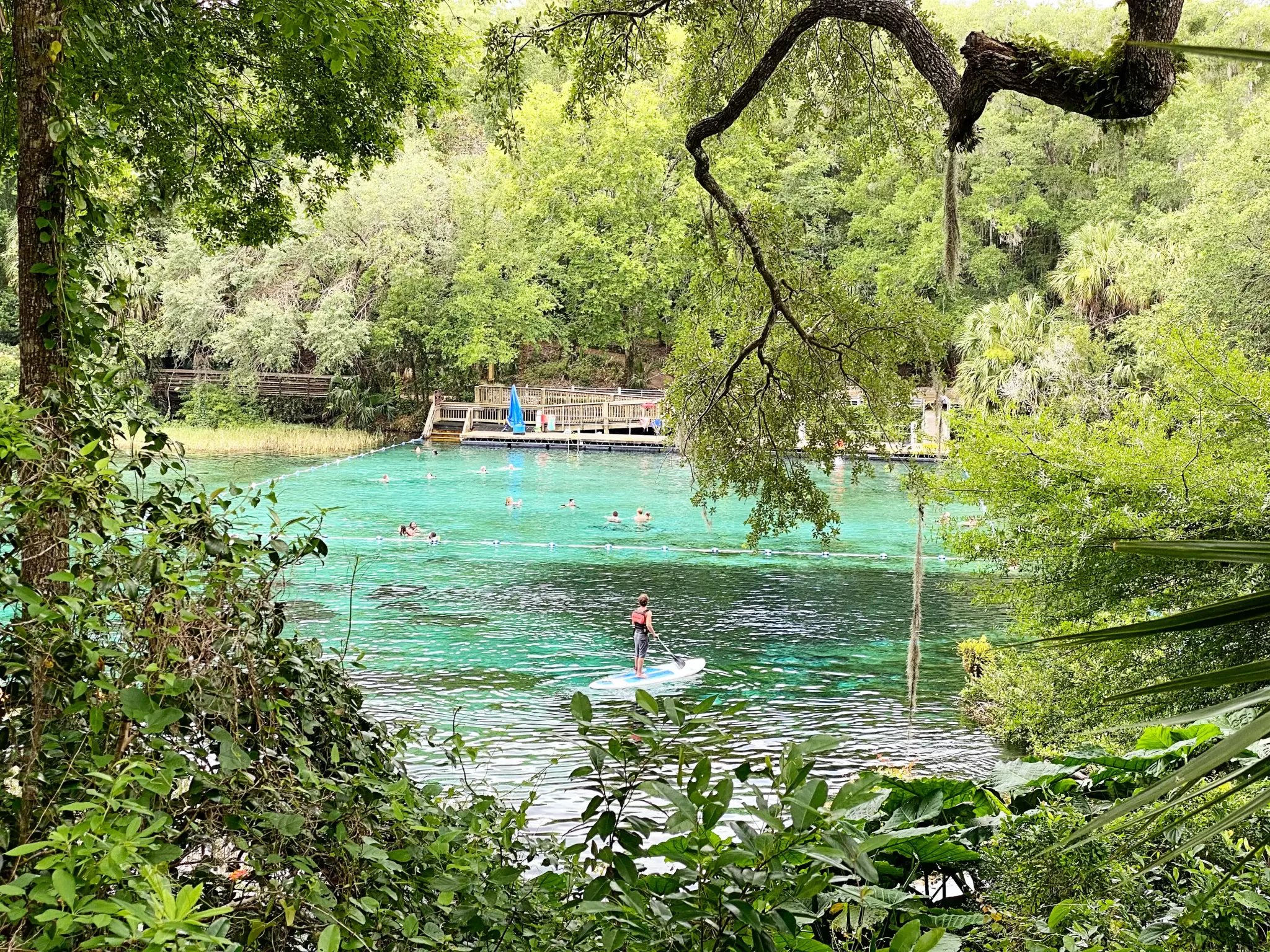 image of lake in Florida state park
