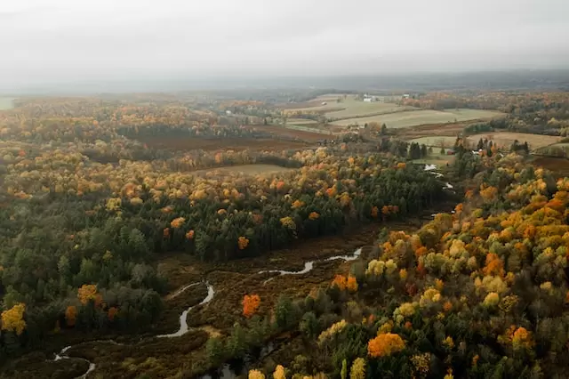 autumn landscape near Tobyhanna PA