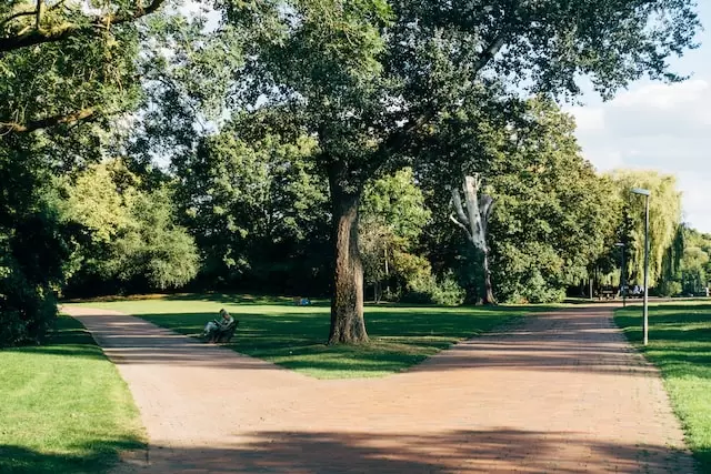 image of city park in McKinney TX