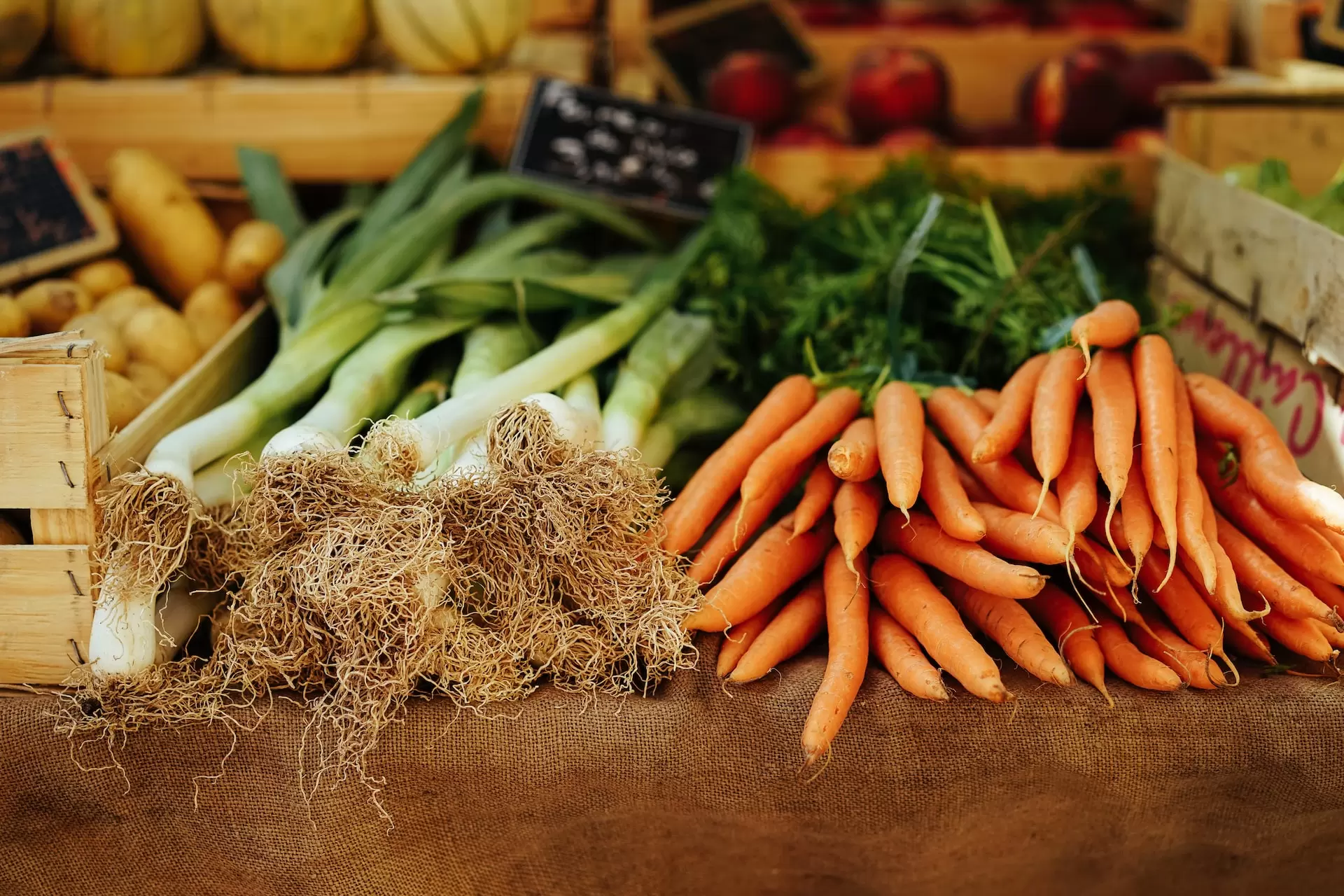 vegetable from the local farmers market in Atlasburg
