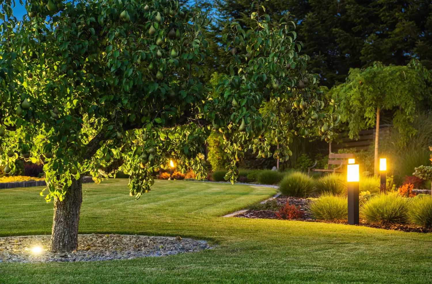 image of beautiful backyard with outdoor lights