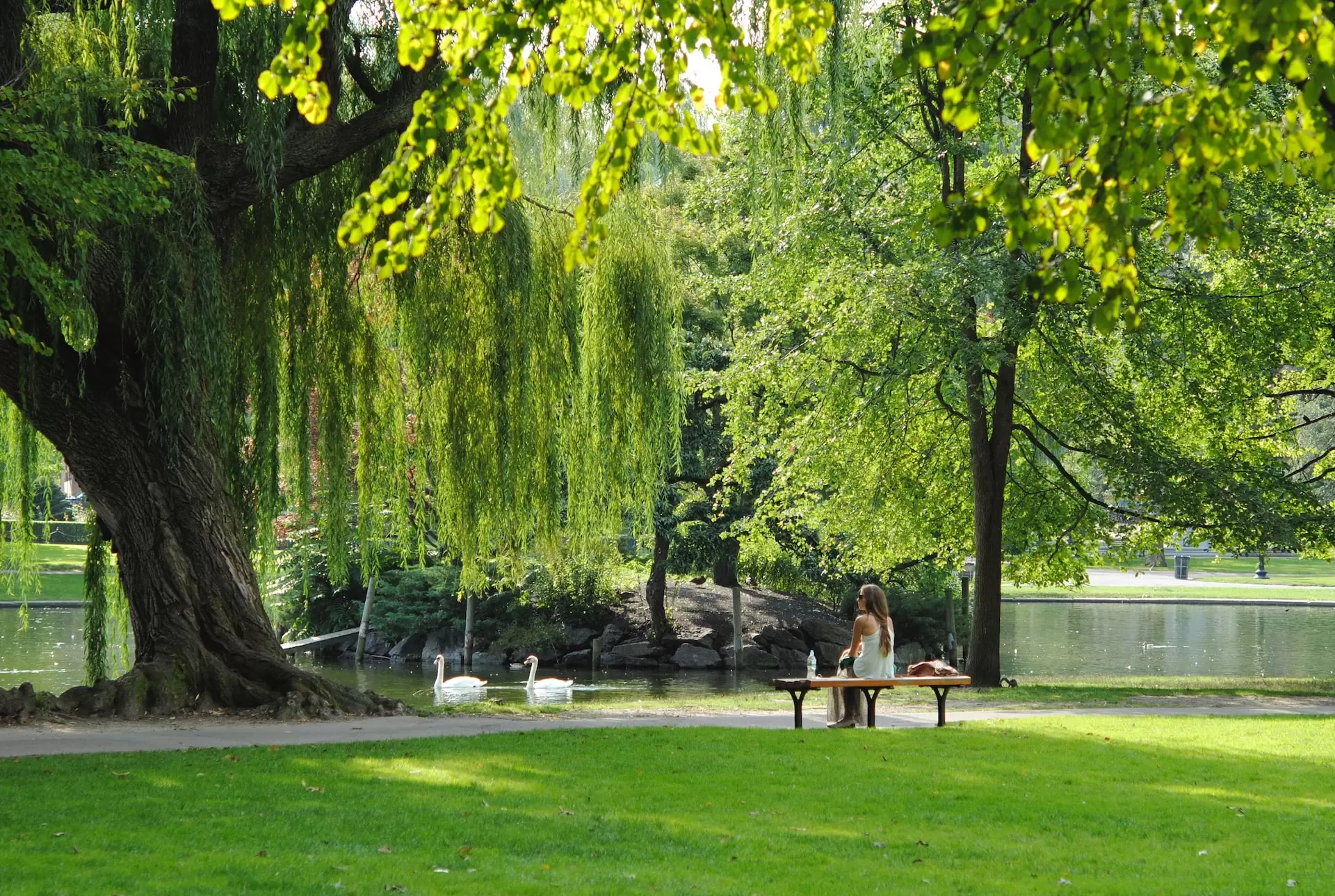 girl sitting at the park in Allen TX