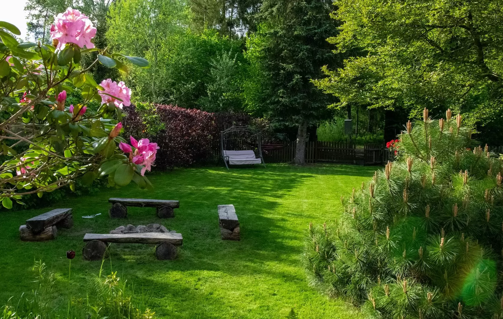 image of well-maintained backyard