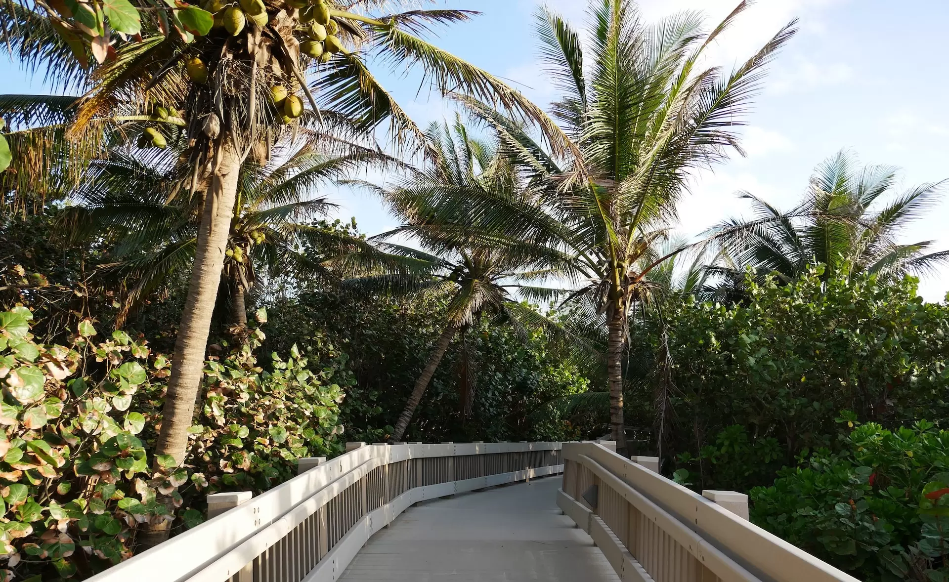 beaches and parks to visit in Boca Raton