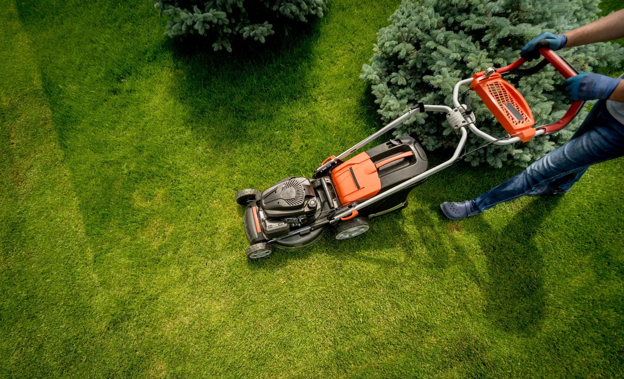 Hiring professional lawn services